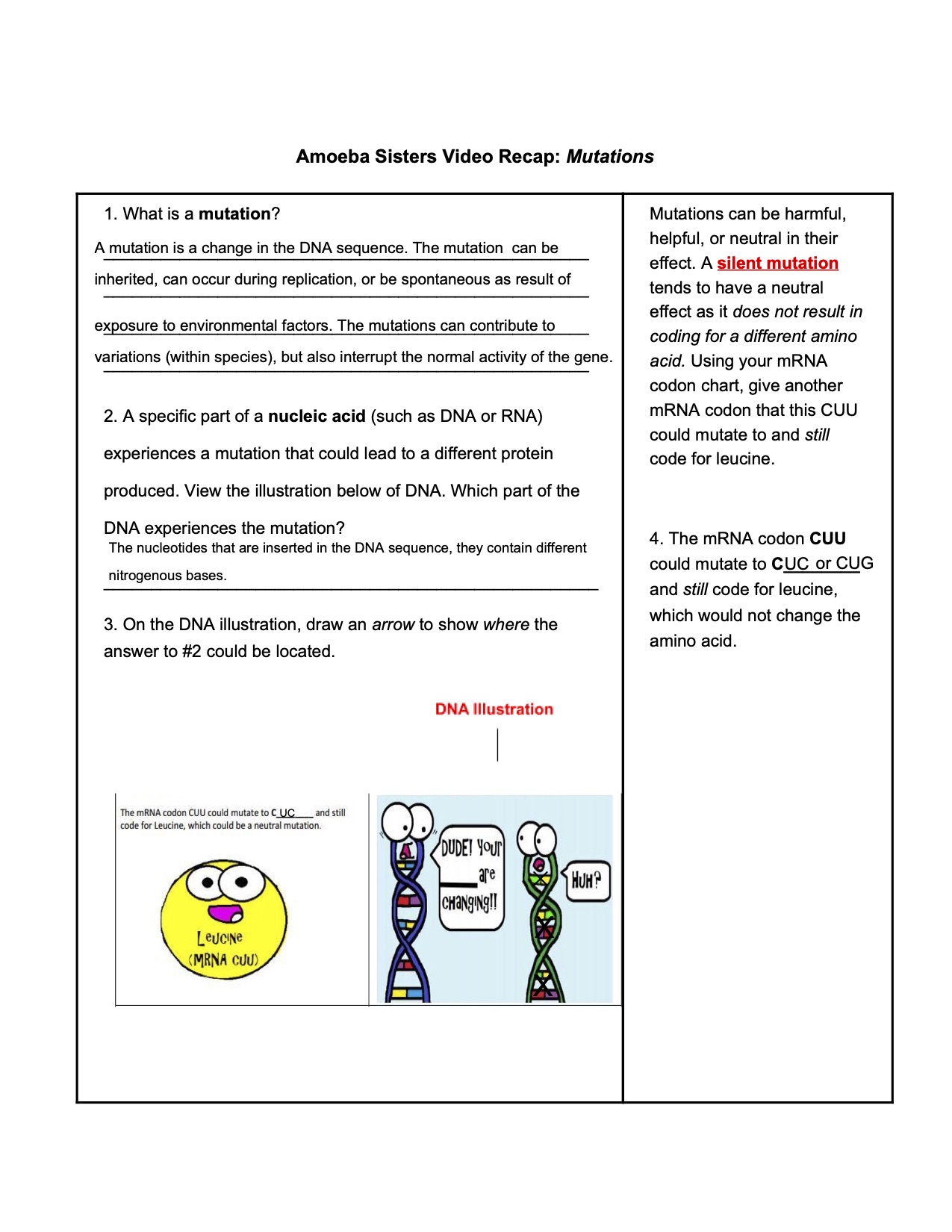Answered: Amoeba Sisters Video Recap: Mutations |24HA Answered: Amoeba Sisters Video Recap: Mutations |24HA