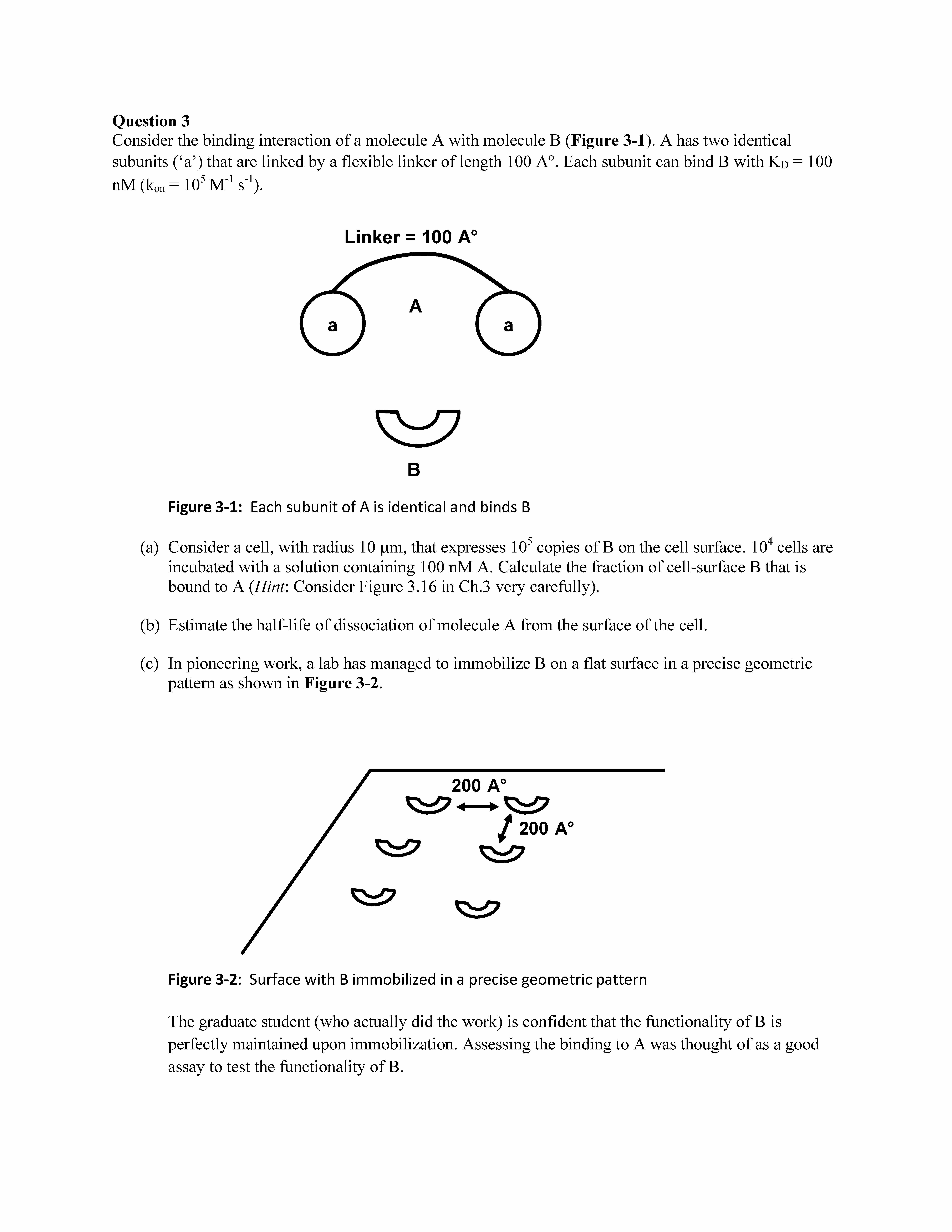 Questions_Pagina_2.jpg